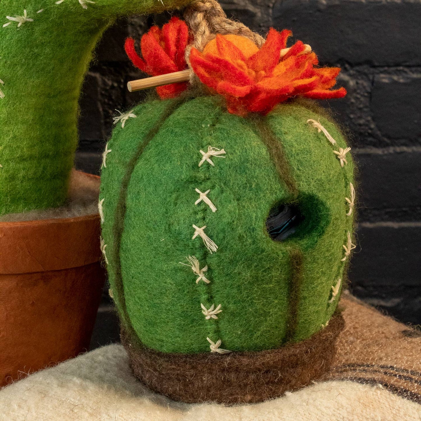 Birdhouse: Barrel Cactus