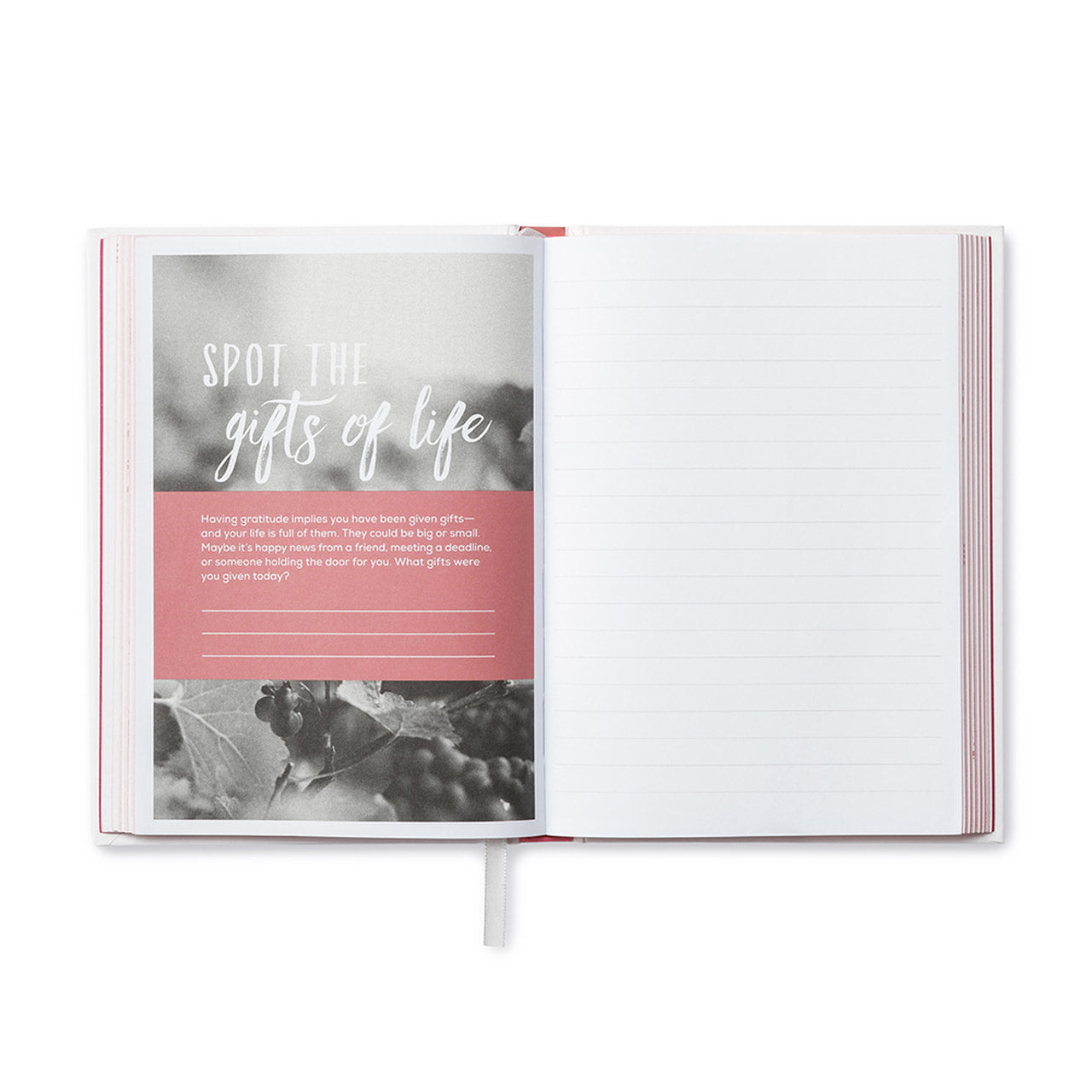 Guided Journal - Finding Gratitude