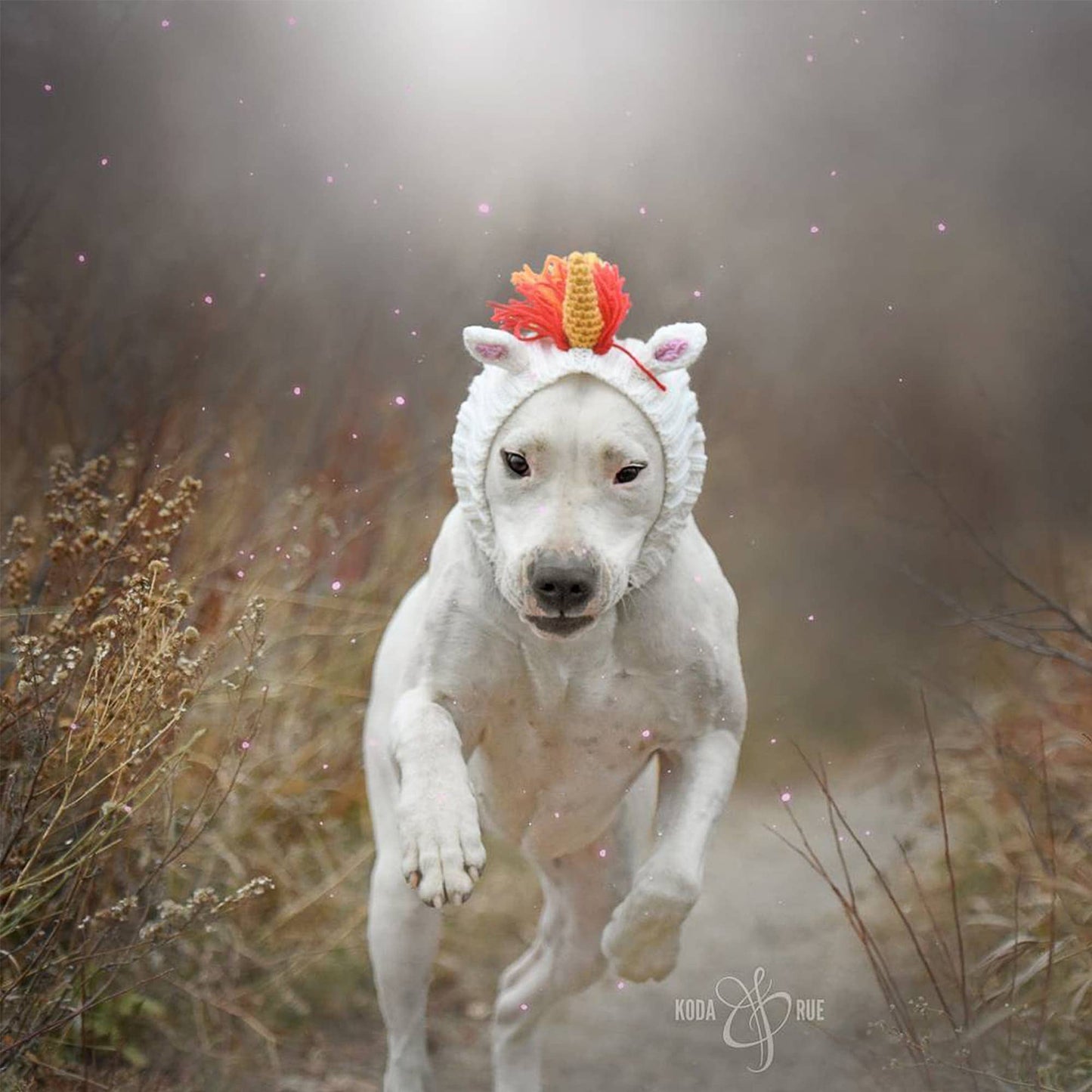Unicorn Dog Snood
