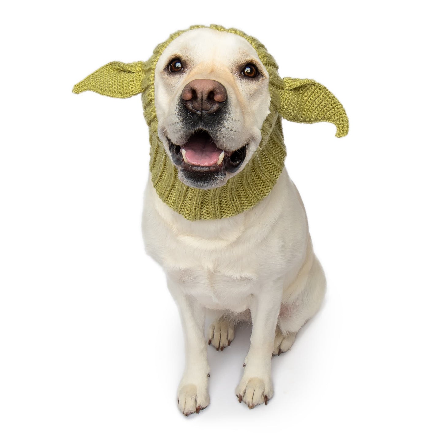 Baby Alien Dog Snood