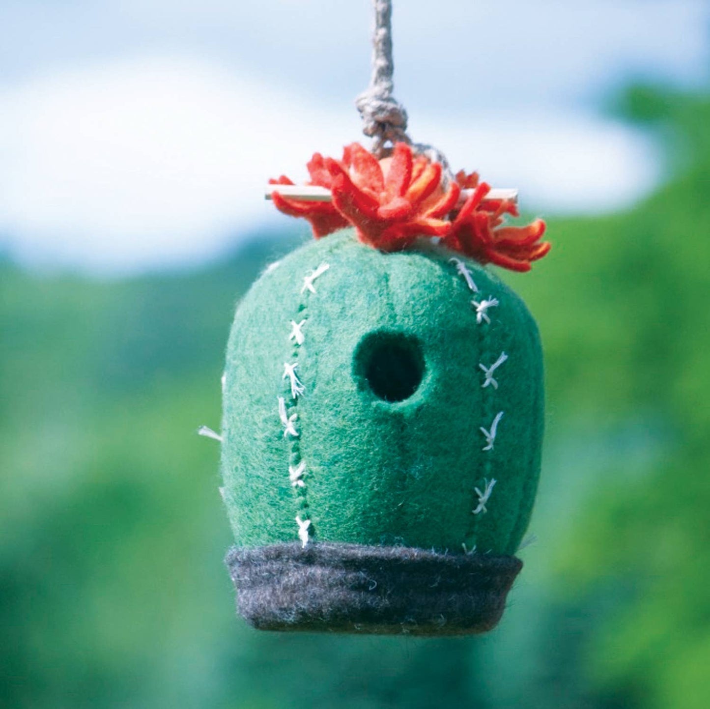 Birdhouse: Barrel Cactus