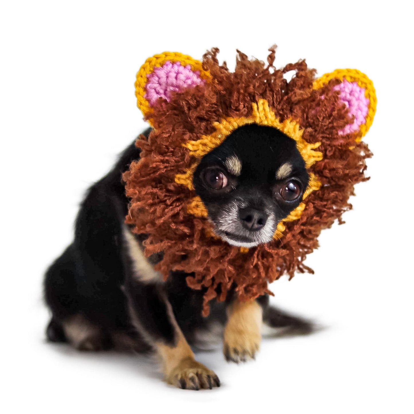Lion Dog Snood
