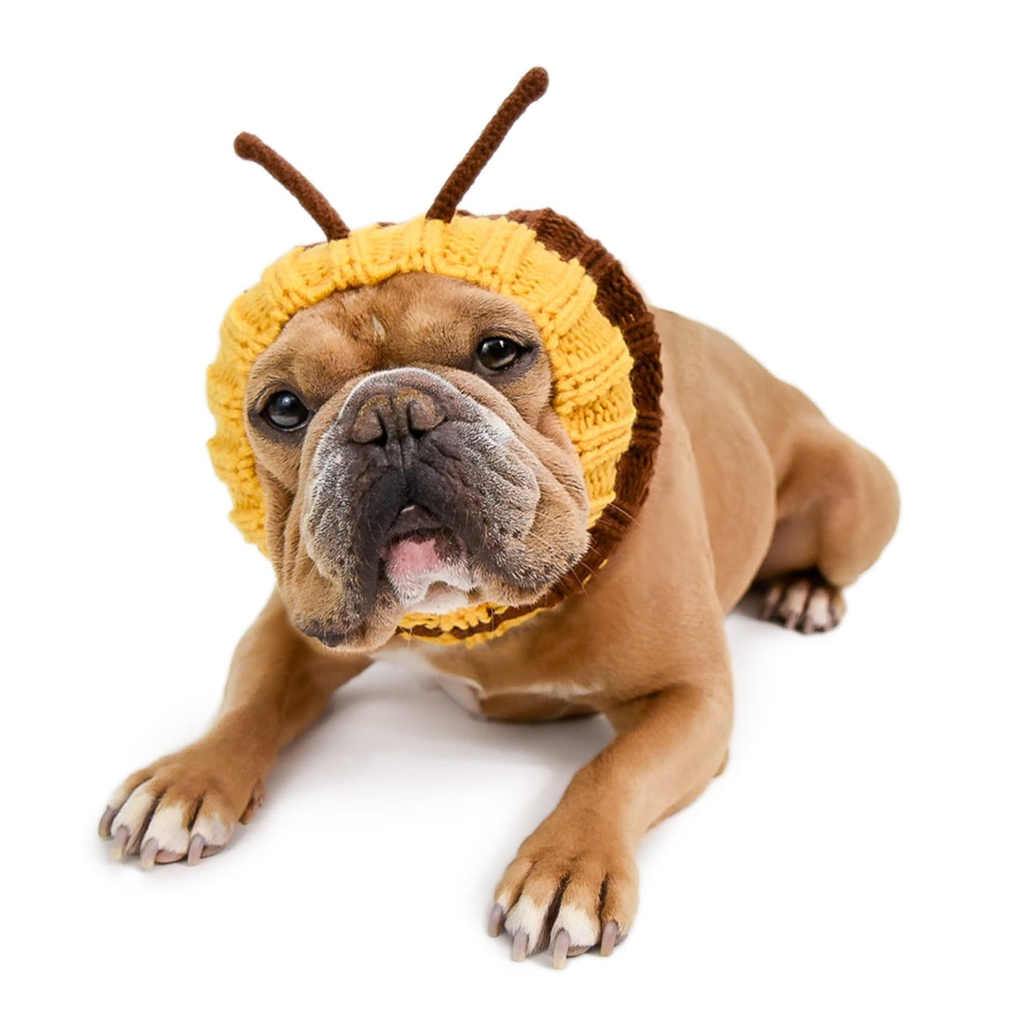 Bee Dog Snood