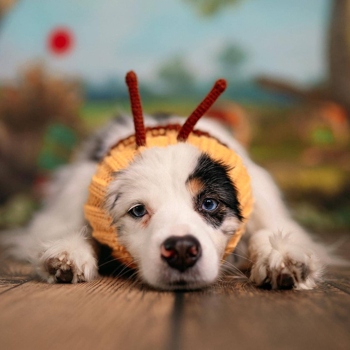 Bee Dog Snood