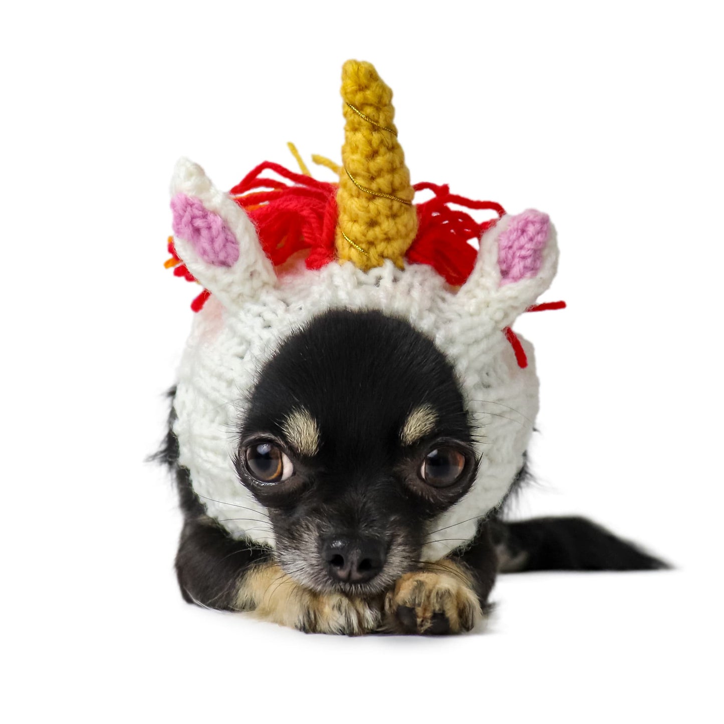 Unicorn Dog Snood