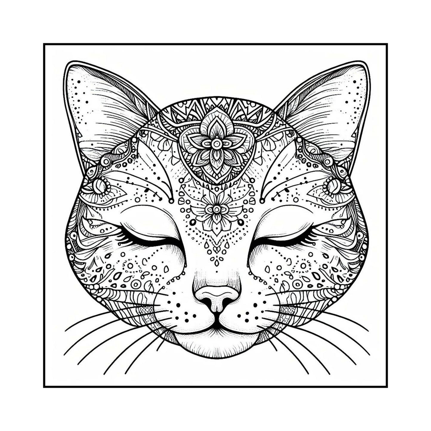 Cat Coloring Sheets