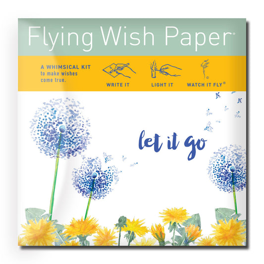 Flying Wish Paper™ Mini Let It Go
