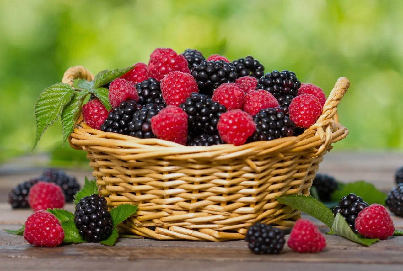 Traditions De France Hard Candy in Raspberry Blackberry