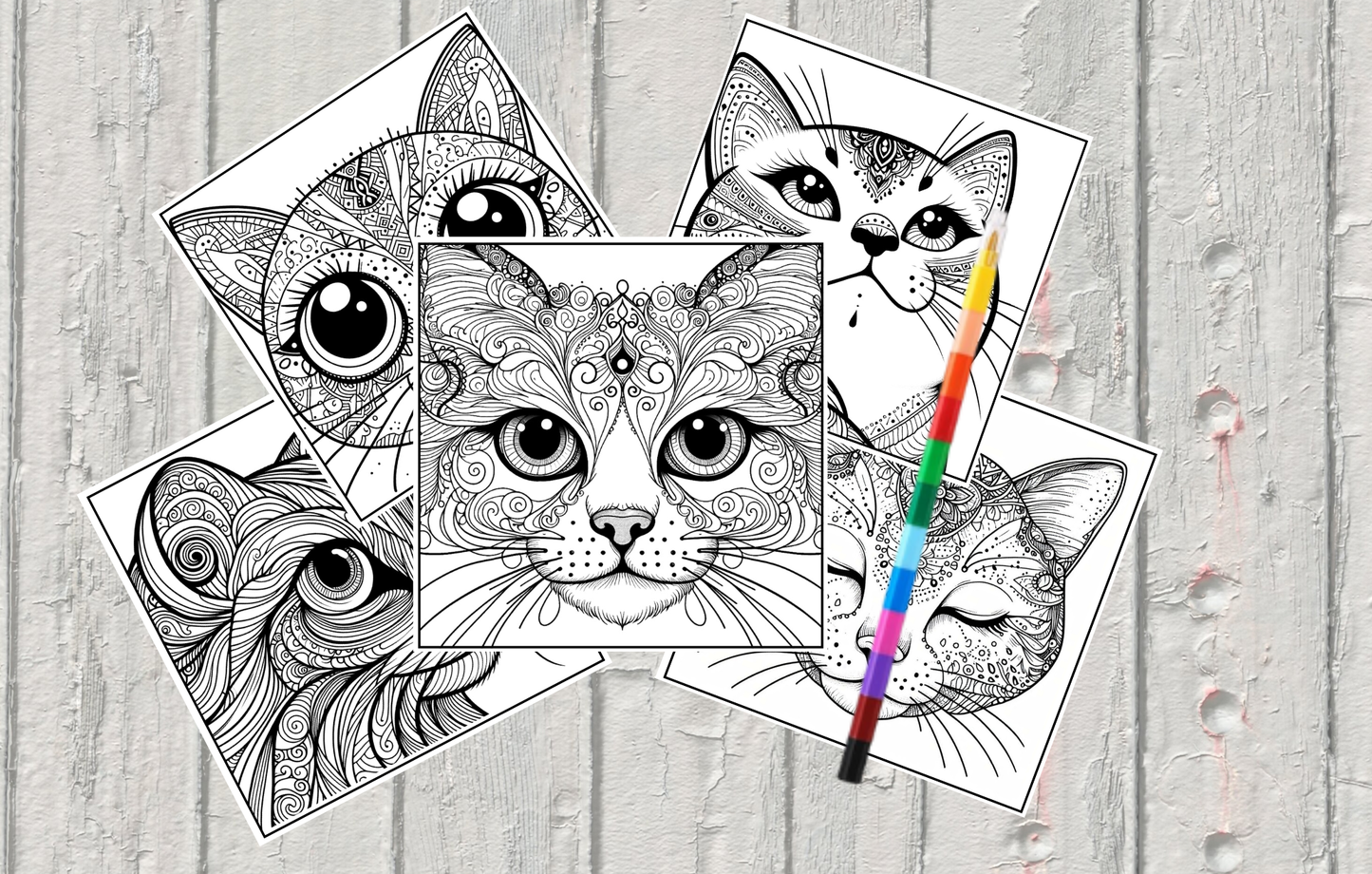 Cat Coloring Sheets