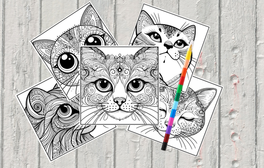 Cat Coloring Sheets