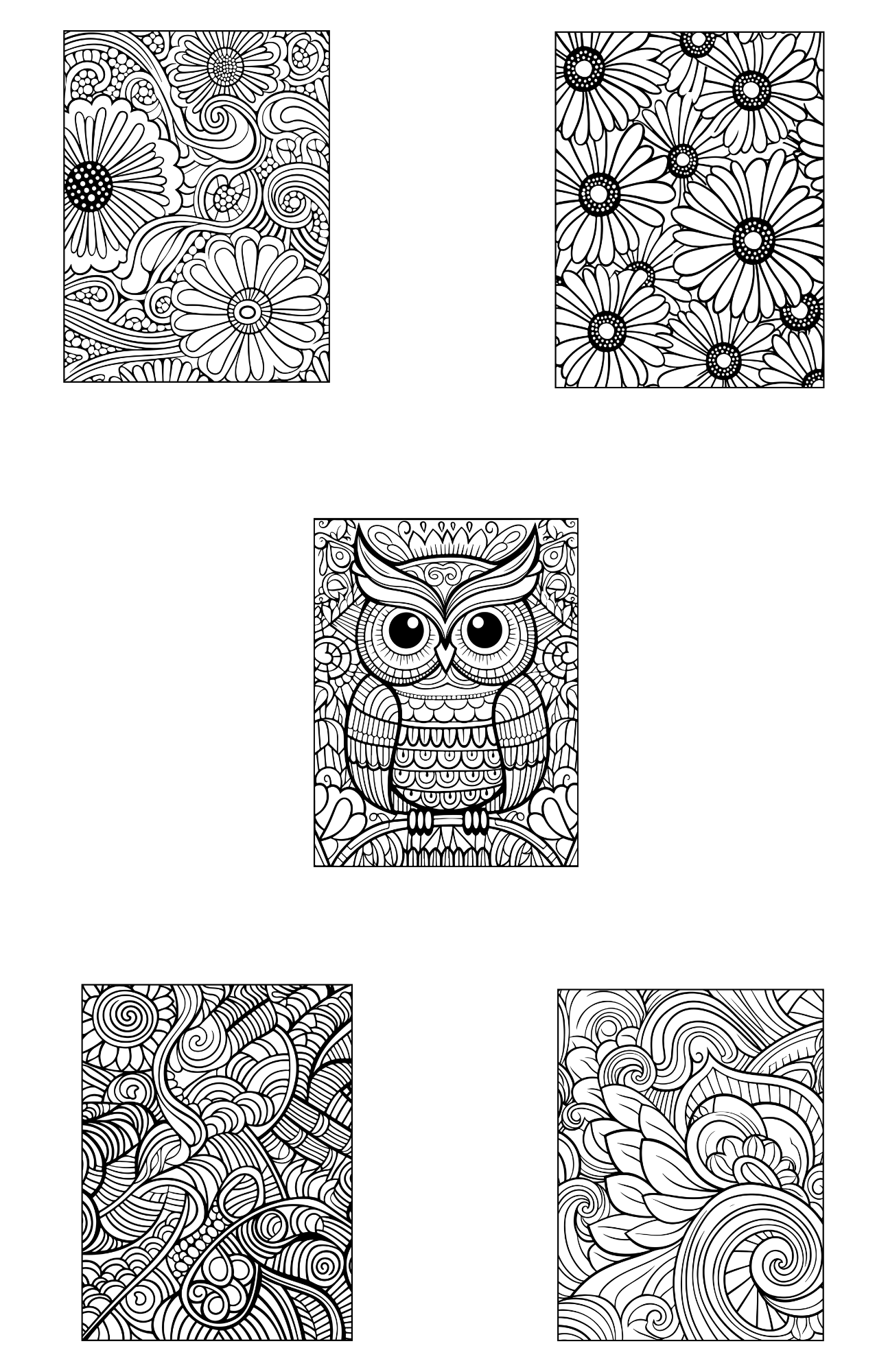 Adult Coloring Sheets Owl