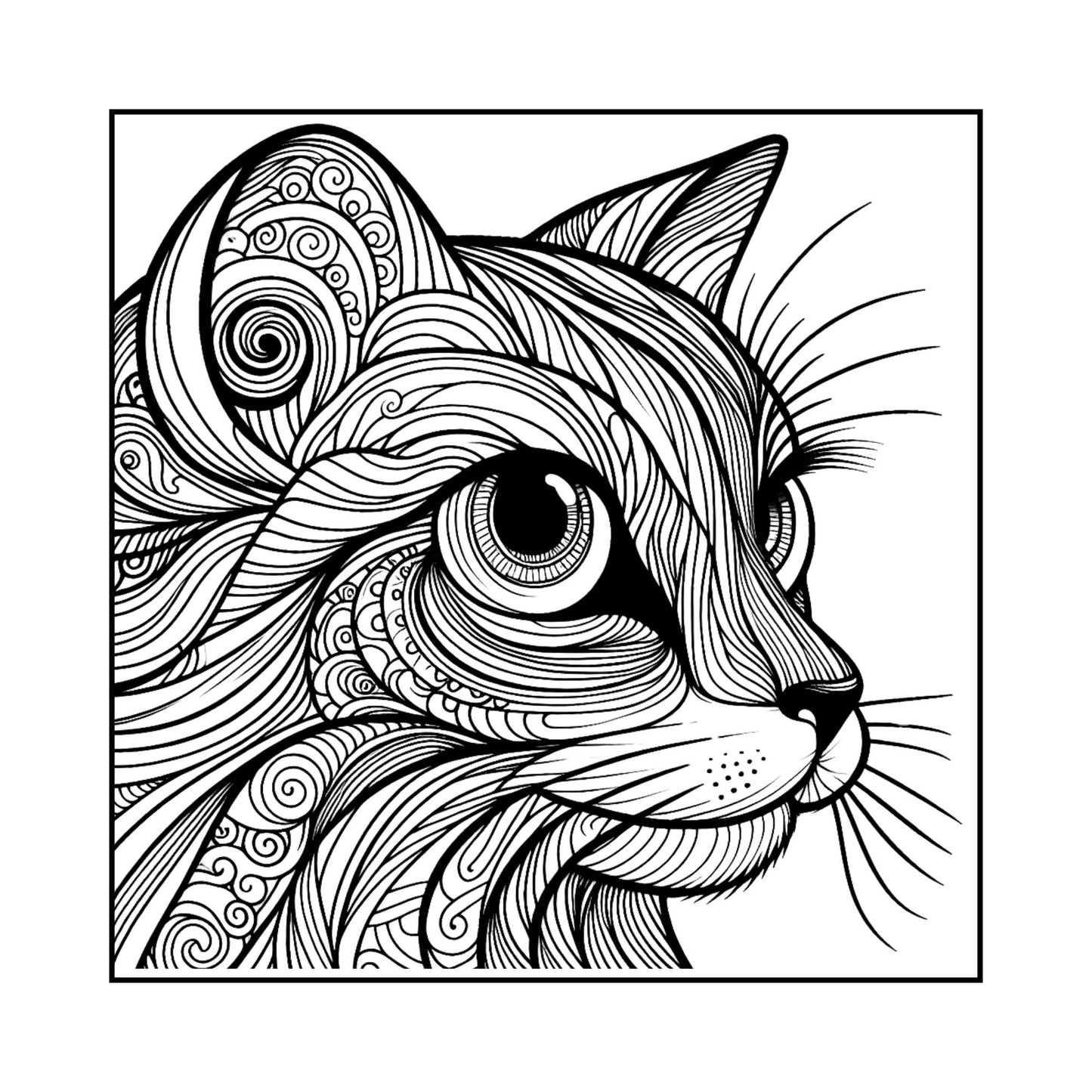 Cat Coloring Sheets