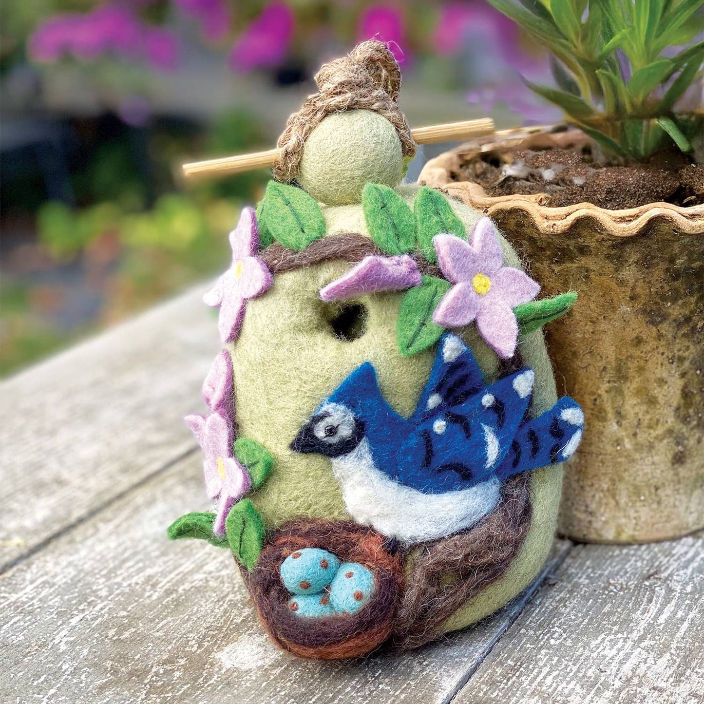 Birdhouse: Nesting Bluejay