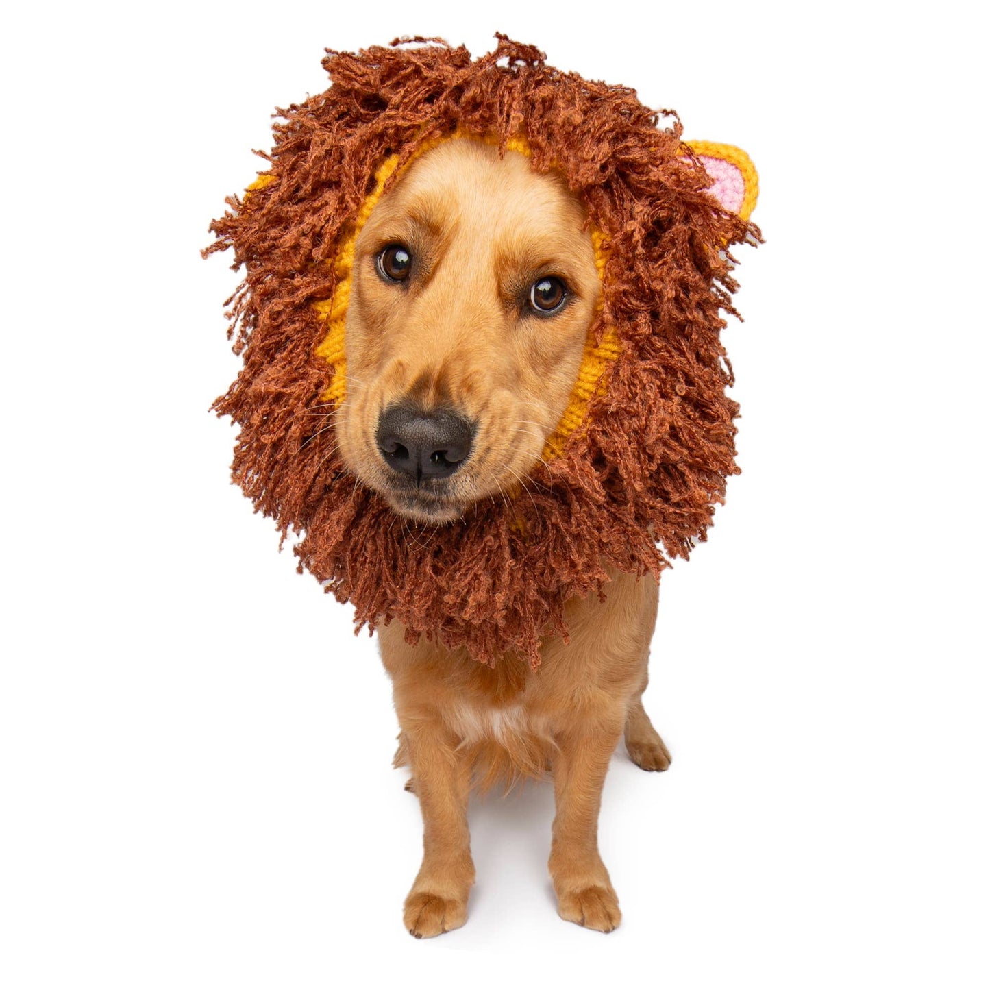 Lion Dog Snood