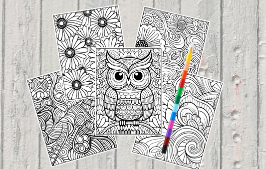 Adult Coloring Sheets Owl