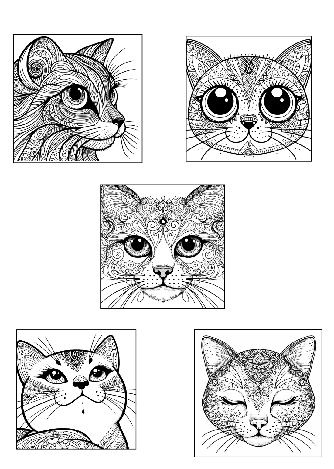 Cat Coloring Sheets